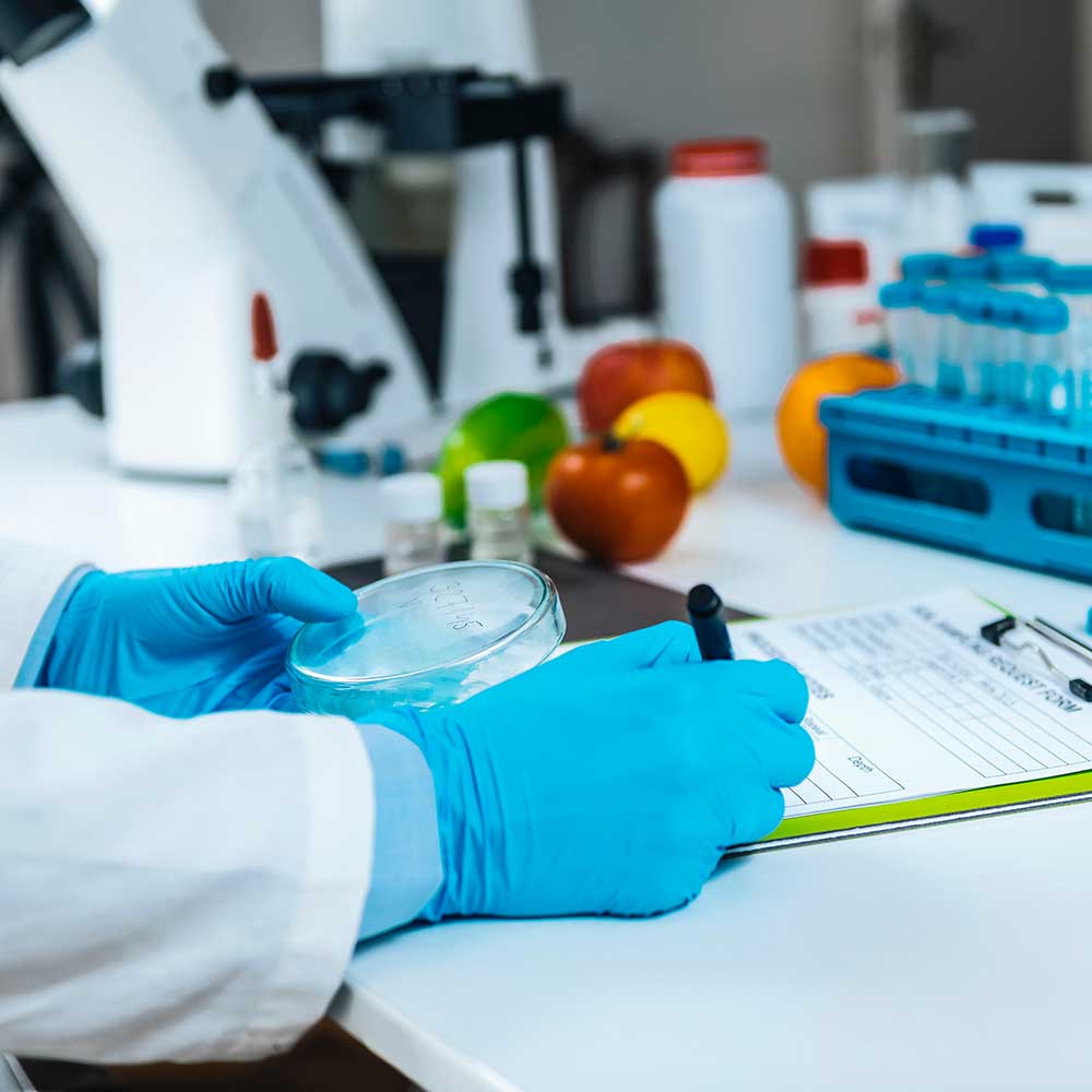 enplas-food-and-agriculture-05