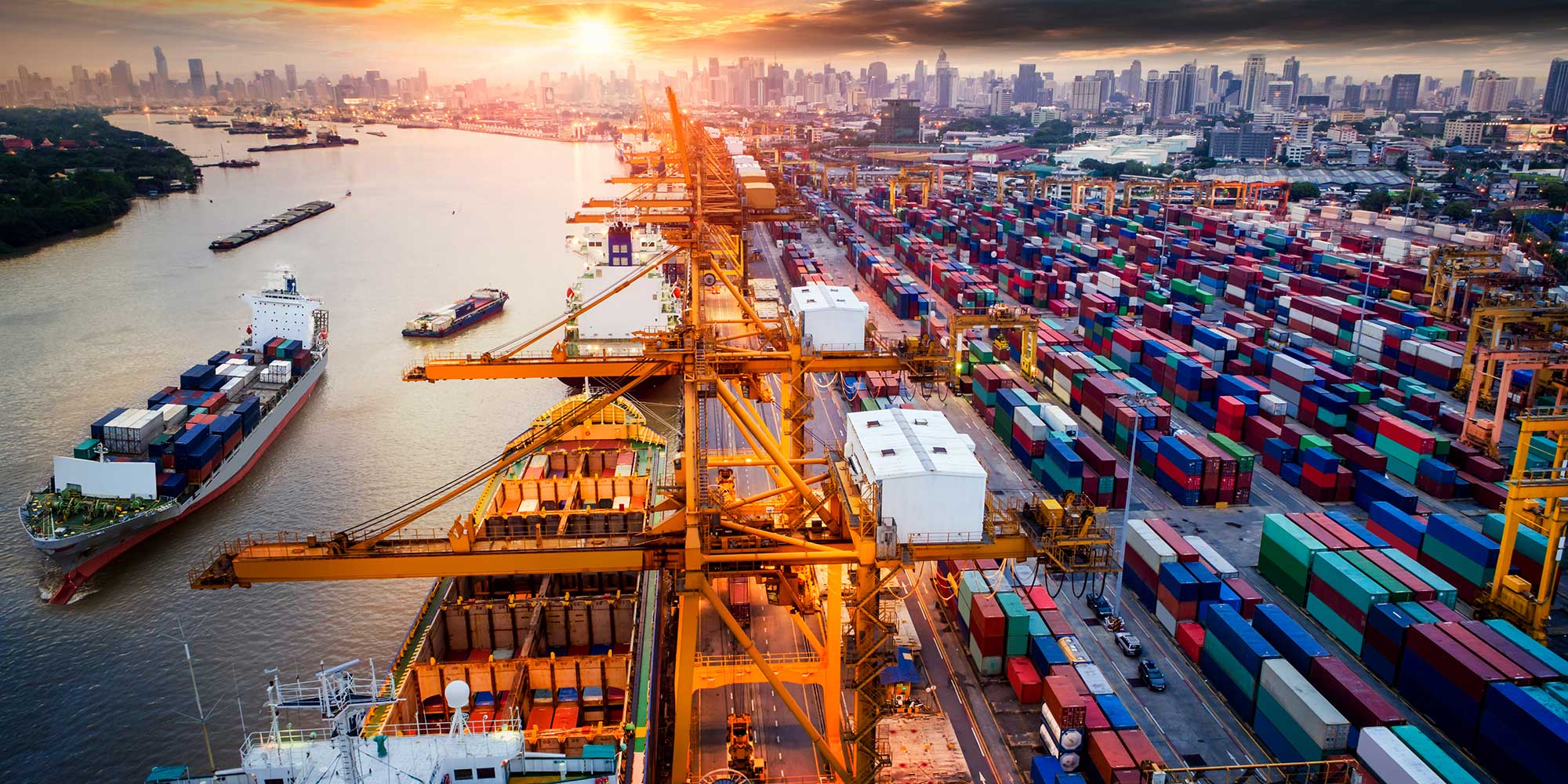 Global Supply Chain Enplas Global